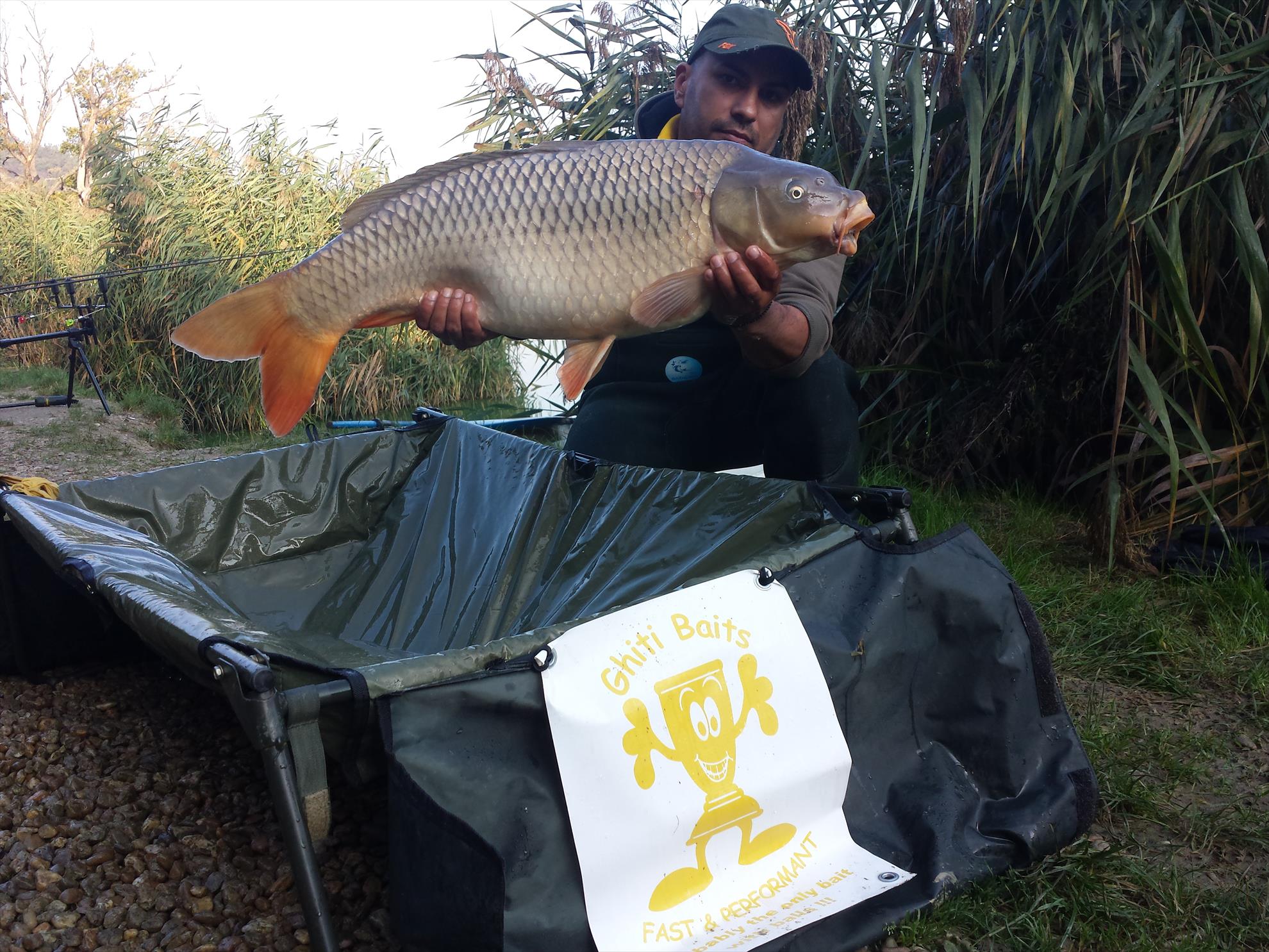 Harsany 2014 - 20141014090323.jpg